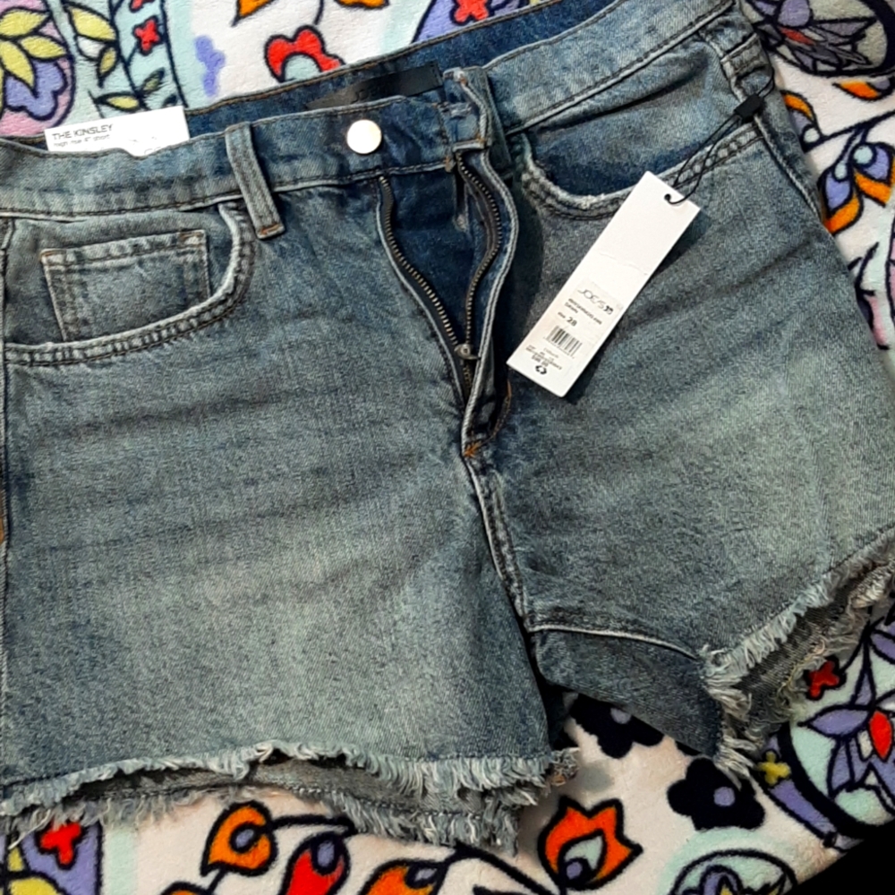 Joe's Jeans 4in. Shorts